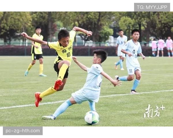 青训赛制改革促进球员全面发展的国际经验，青训赛是什么意思